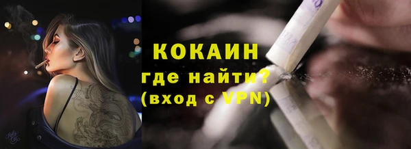 гашик Арсеньев