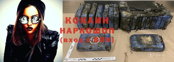 гашик Арсеньев