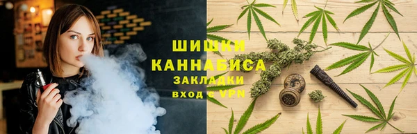 гашик Арсеньев
