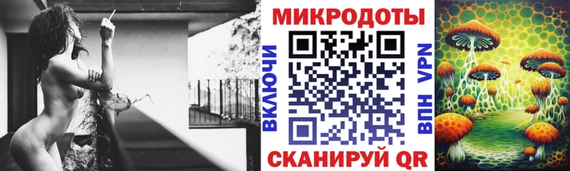 магазин продажи наркотиков  Сальск  Псилоцибиновые грибы MAGIC MUSHROOMS 