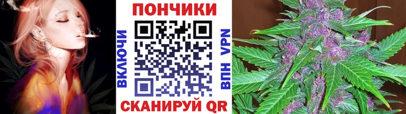 Бошки Шишки LSD WEED  как найти наркотики  Сальск 